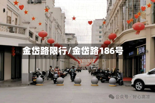 金岱路限行/金岱路186号-第3张图片