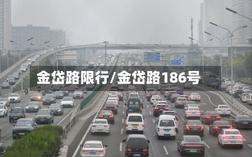 金岱路限行/金岱路186号