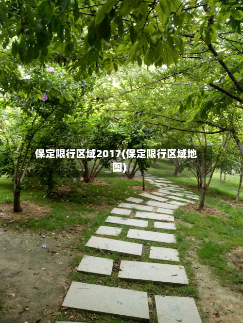 保定限行区域2017(保定限行区域地图)-第2张图片
