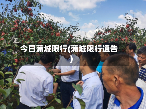 今日蒲城限行(蒲城限行通告)-第1张图片