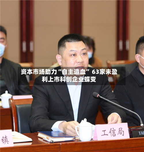 资本市场助力“自主造血” 63家未盈利上市科创企业蝶变-第2张图片