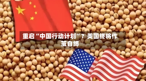 重启“中国行动计划”？美国终将作茧自缚-第3张图片