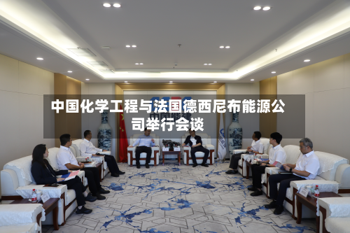 中国化学工程与法国德西尼布能源公司举行会谈-第2张图片