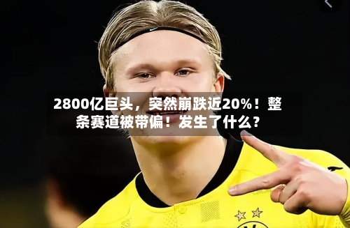 2800亿巨头	，突然崩跌近20%！整条赛道被带偏！发生了什么？-第2张图片