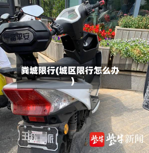 粪城限行(城区限行怎么办)-第1张图片