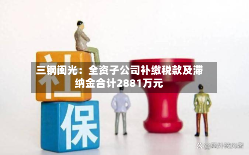 三钢闽光:全资子公司补缴税款及滞纳金合计2881万元-第2张图片
