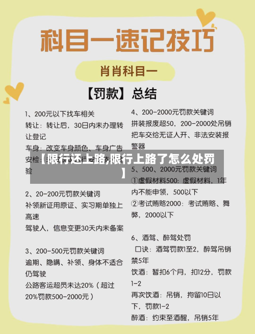 【限行还上路,限行上路了怎么处罚】