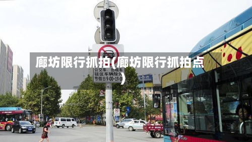 廊坊限行抓拍(廊坊限行抓拍点)-第3张图片