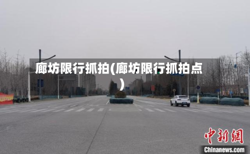 廊坊限行抓拍(廊坊限行抓拍点)-第2张图片