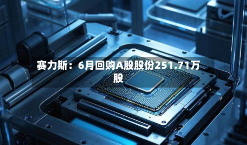 赛力斯:6月回购A股股份251.71万股-第2张图片