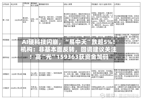 AI硬科技闪崩，“易中天	”跌超5%！机构：非基本面反转	，回调建议关注！高“光”159363获资金加码-第3张图片