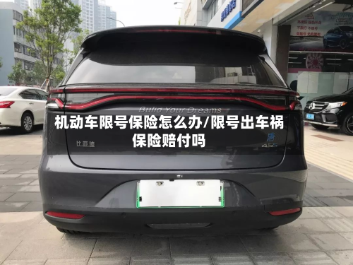 机动车限号保险怎么办/限号出车祸保险赔付吗-第1张图片