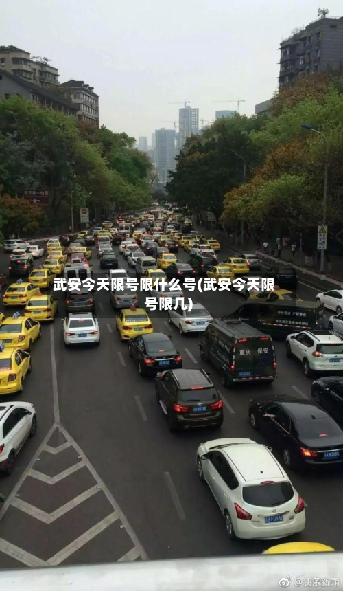 武安今天限号限什么号(武安今天限号限几)
