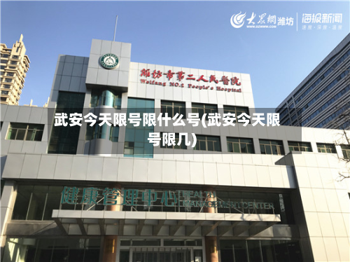 武安今天限号限什么号(武安今天限号限几)-第2张图片