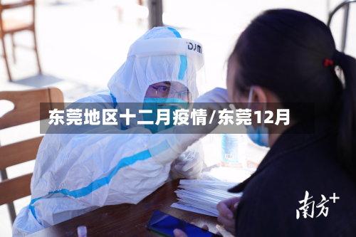 东莞地区十二月疫情/东莞12月