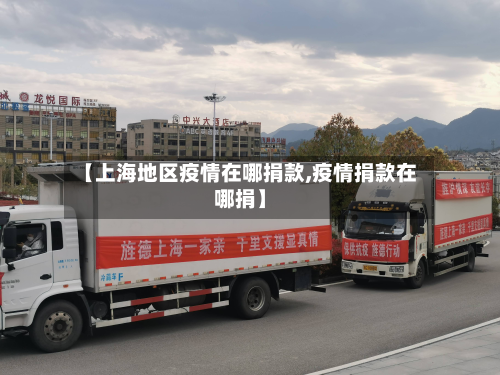 【上海地区疫情在哪捐款,疫情捐款在哪捐】-第2张图片