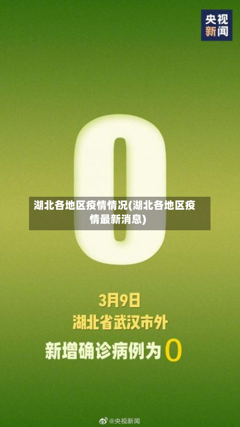 湖北各地区疫情情况(湖北各地区疫情最新消息)