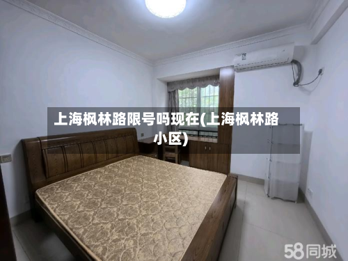 上海枫林路限号吗现在(上海枫林路小区)