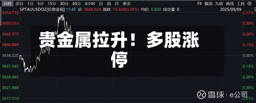 贵金属拉升!多股涨停-第3张图片
