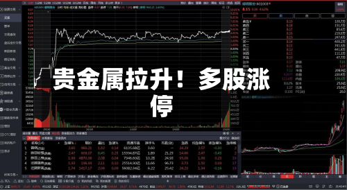 贵金属拉升!多股涨停-第2张图片