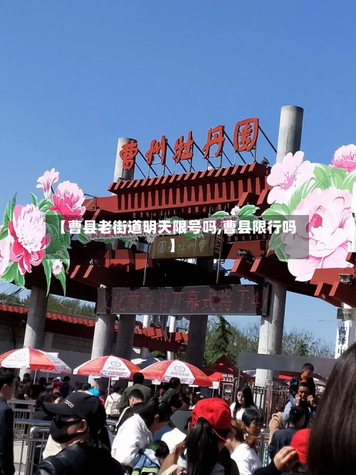【曹县老街道明天限号吗,曹县限行吗】-第2张图片