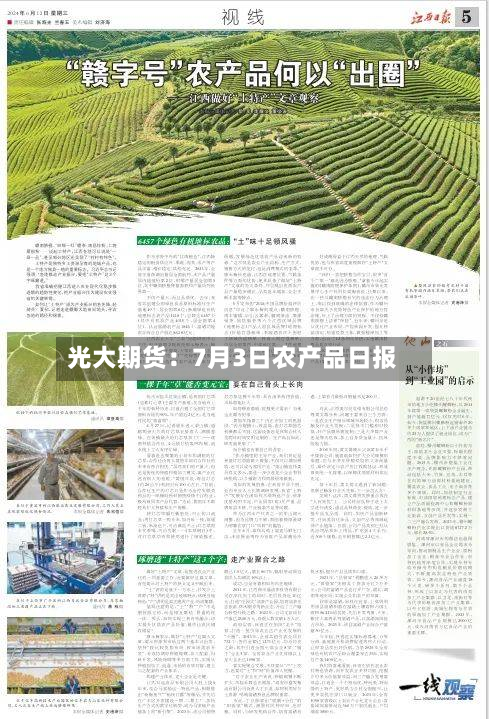 光大期货:7月3日农产品日报-第1张图片
