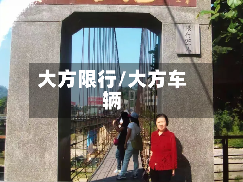 大方限行/大方车辆