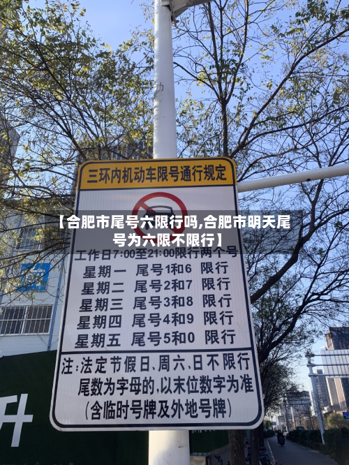 【合肥市尾号六限行吗,合肥市明天尾号为六限不限行】-第2张图片