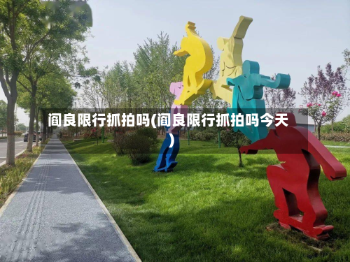 阎良限行抓拍吗(阎良限行抓拍吗今天)