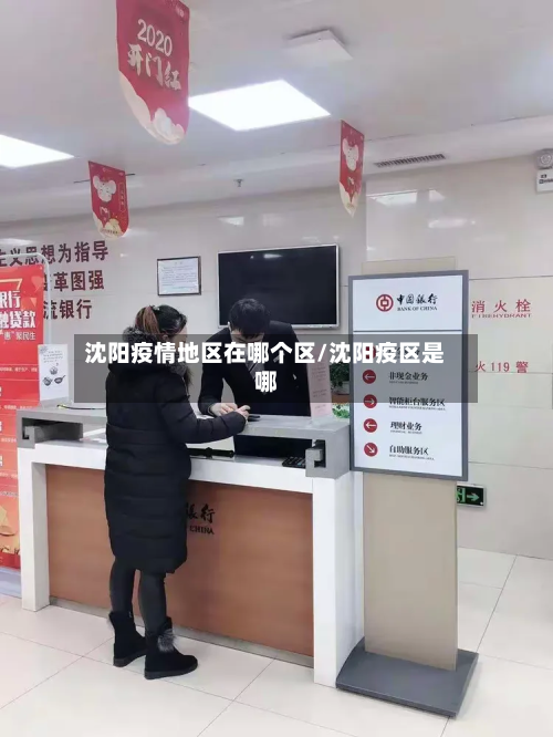 沈阳疫情地区在哪个区/沈阳疫区是哪