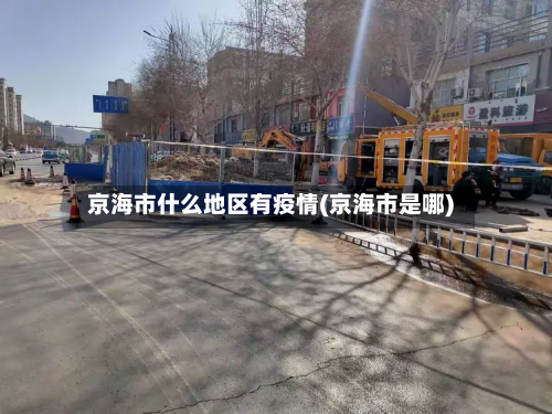 京海市什么地区有疫情(京海市是哪)