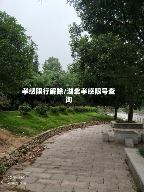 孝感限行解除/湖北孝感限号查询-第3张图片