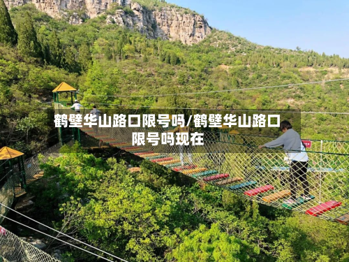 鹤壁华山路口限号吗/鹤壁华山路口限号吗现在-第3张图片