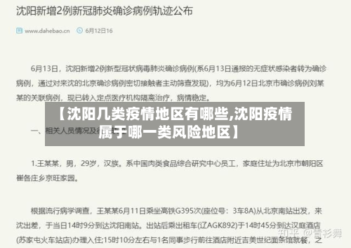 【沈阳几类疫情地区有哪些,沈阳疫情属于哪一类风险地区】