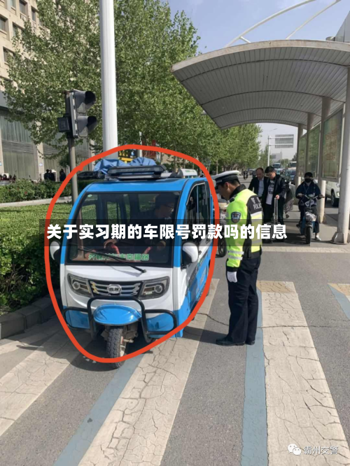 关于实习期的车限号罚款吗的信息-第3张图片