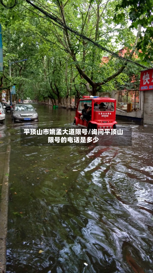 平顶山市姚孟大道限号/询问平顶山限号的电话是多少-第2张图片