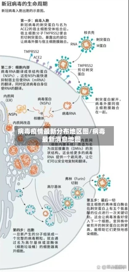 病毒疫情最新分布地区图/病毒最新消息地图-第1张图片