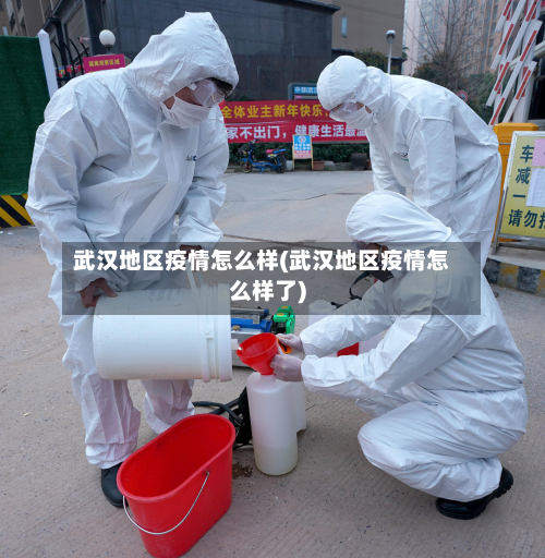 武汉地区疫情怎么样(武汉地区疫情怎么样了)-第3张图片