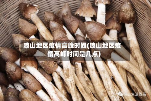 凉山地区疫情高峰时间(凉山地区疫情高峰时间是几点)-第2张图片