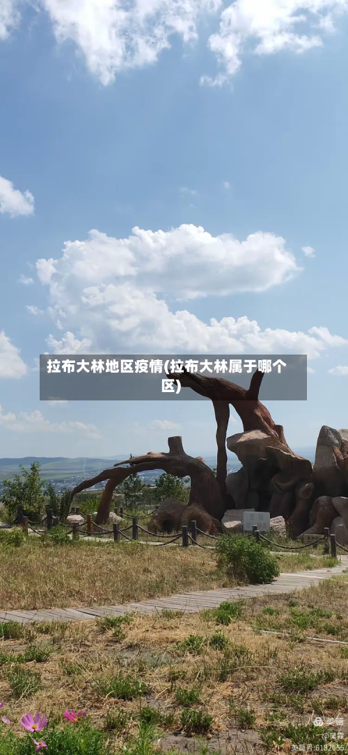 拉布大林地区疫情(拉布大林属于哪个区)-第2张图片