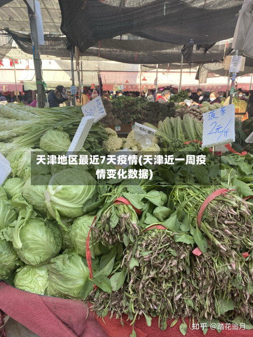 天津地区最近7天疫情(天津近一周疫情变化数据)-第2张图片