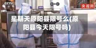 星期天原阳县限号么(原阳县今天限号吗)