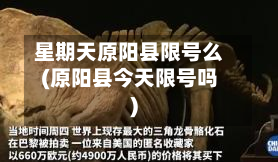 星期天原阳县限号么(原阳县今天限号吗)-第2张图片