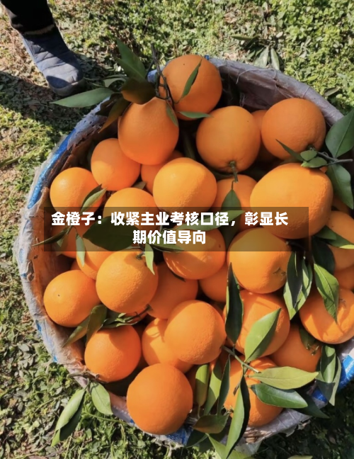 金橙子：收紧主业考核口径，彰显长期价值导向-第2张图片