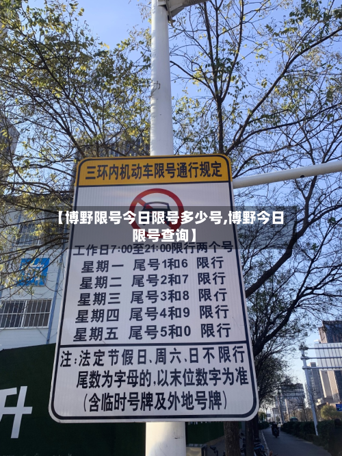 【博野限号今日限号多少号,博野今日限号查询】-第2张图片