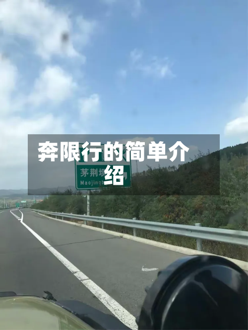 奔限行的简单介绍-第2张图片
