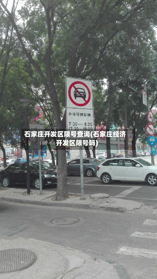 石家庄开发区限号查询(石家庄经济开发区限号吗)-第2张图片