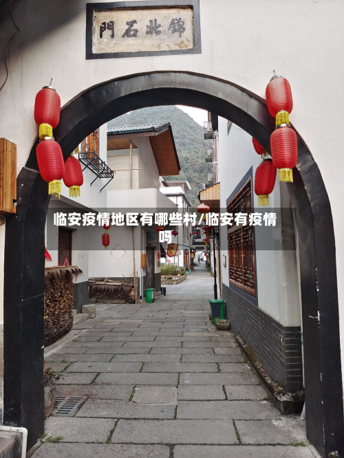 临安疫情地区有哪些村/临安有疫情吗-第3张图片