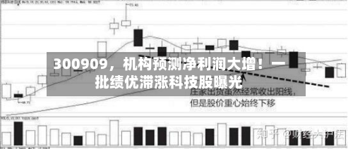 300909	，机构预测净利润大增！一批绩优滞涨科技股曝光-第2张图片