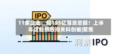 11家企业、超195亿募资总额！上半年这些新股闯关科创板|聚焦-第3张图片